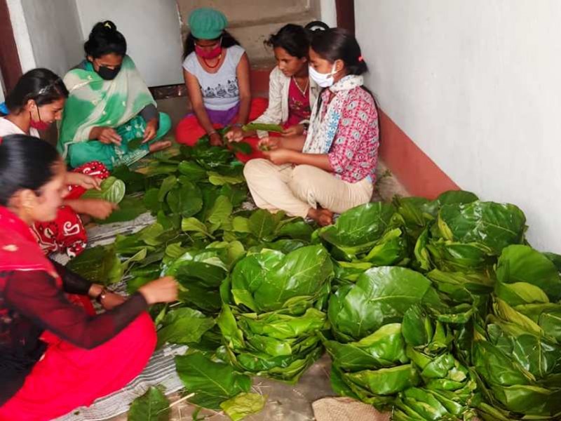 हराउन थाल्यो दुनाटपरी